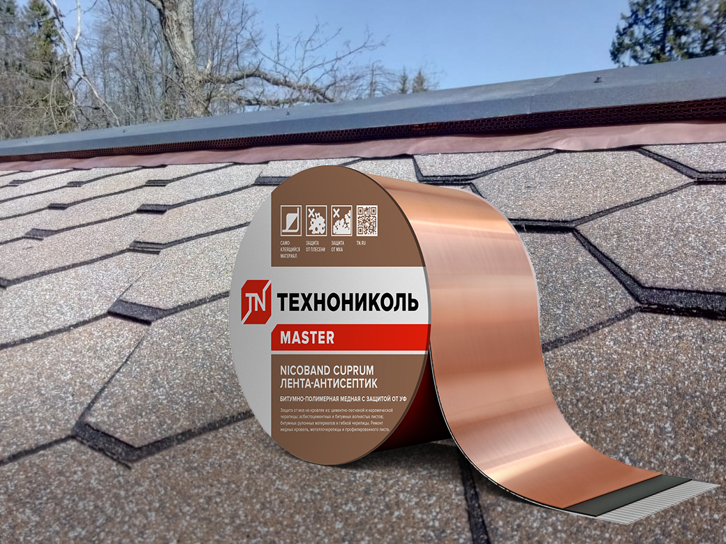 ТЕХНОНИКОЛЬ представляет новые решения для скатных кровель