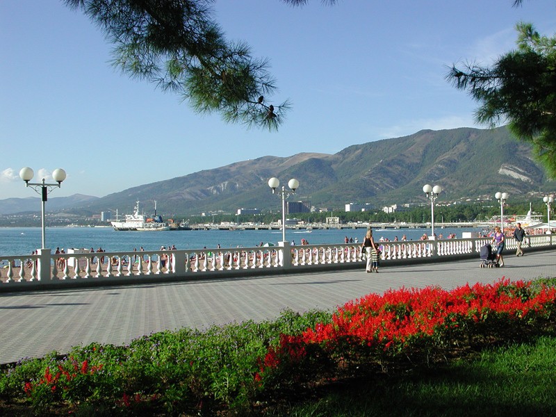 Здания и сооружения в цунамиопасных районах будут проектировать по новым правилам