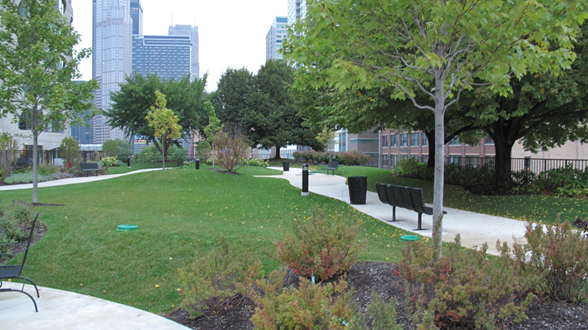 Вступил в силу ГОСТ на «зеленые» крыши