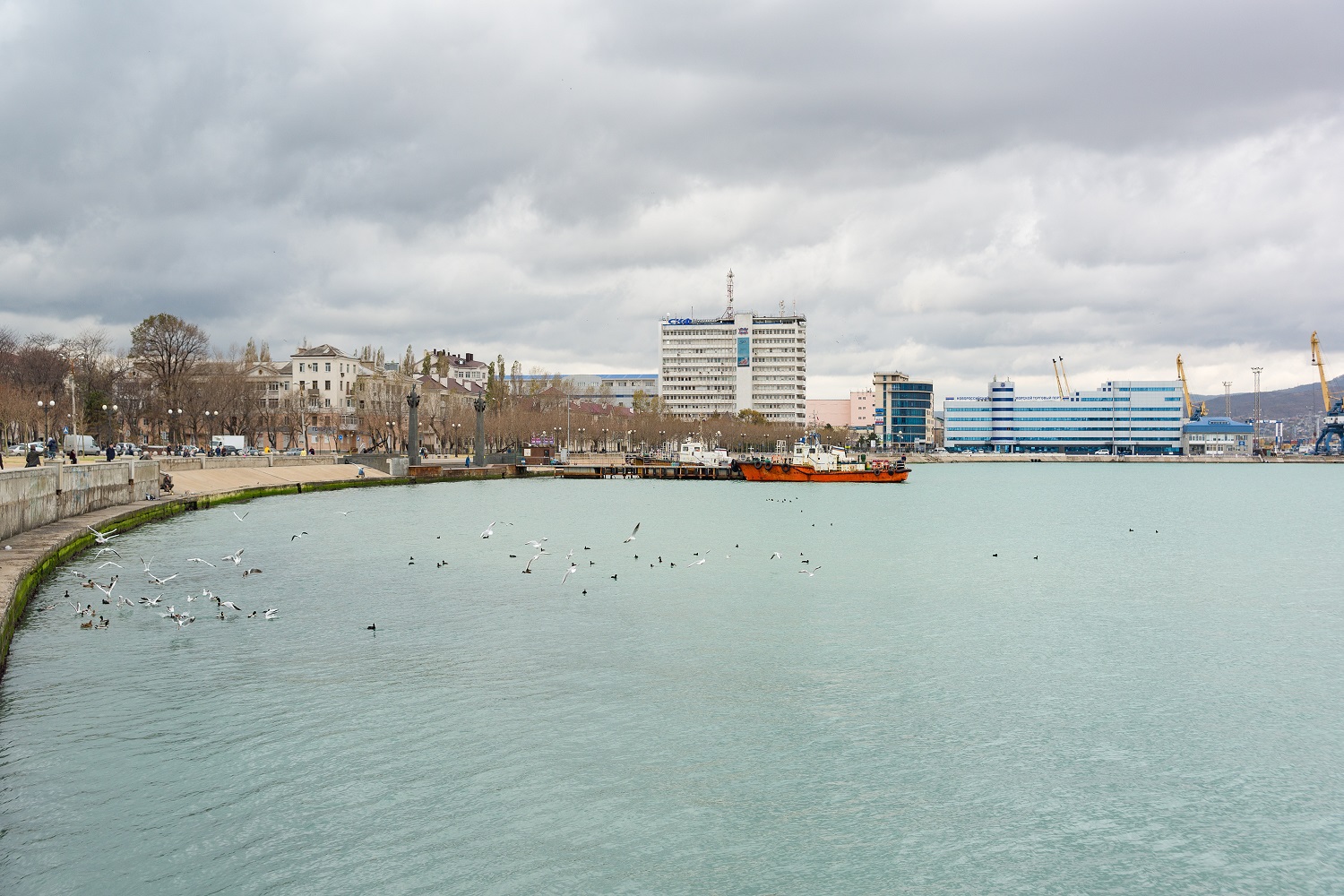 Конкурс на разработку архитектурной концепции туристско-рекреационного кластера в Новороссийске