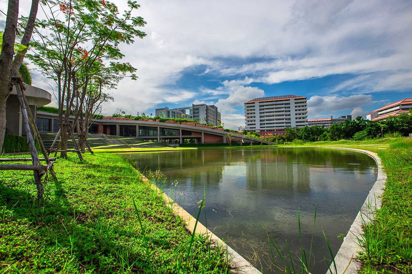 Городской огород на крыше