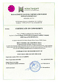 Сертификат ГОСТ Р ИСО Экологический менеджмент 45001 английский