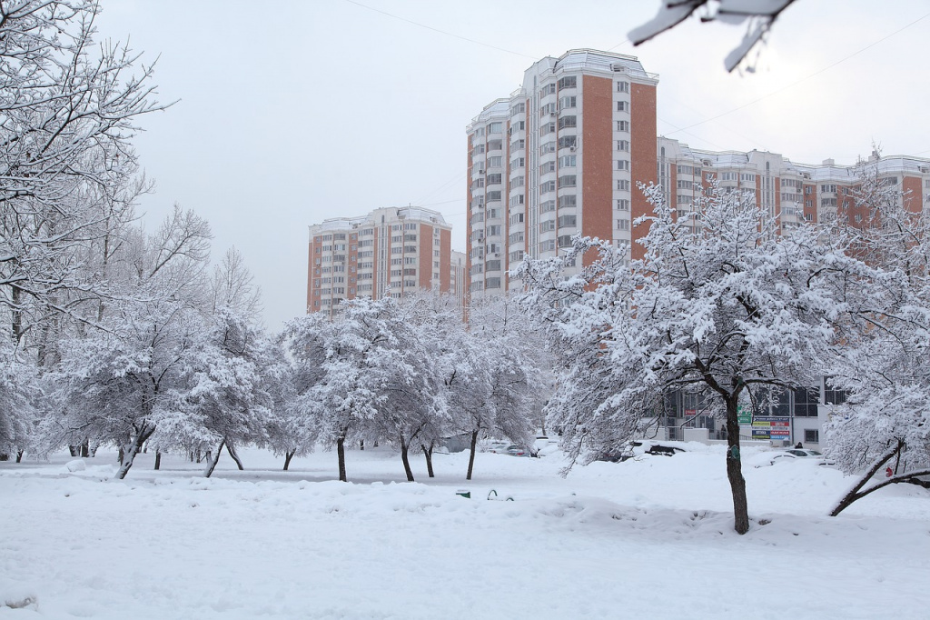 russian-winter-4329456_1280.jpg
